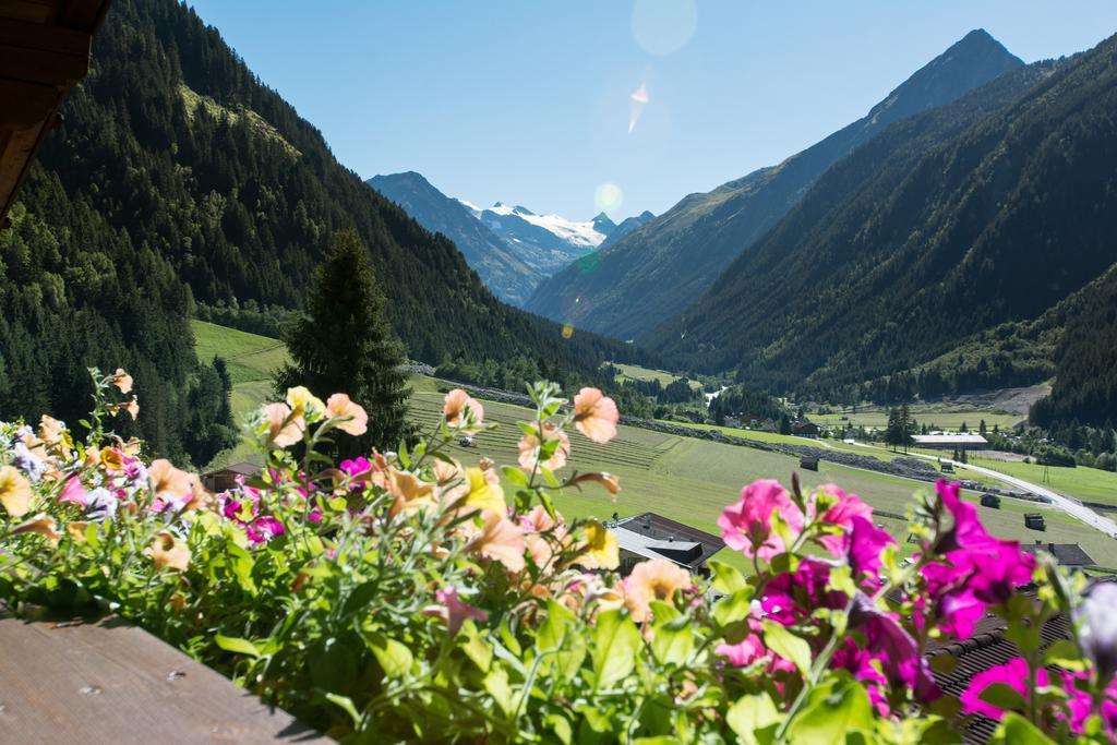 Ferienwohnung Haus Mary Neustift im Stubaital Exterior foto